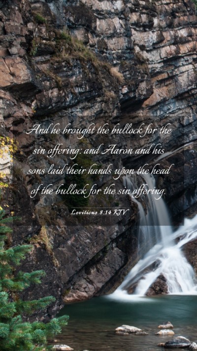 Picture 03 - Leviticus 8:14 KJV Mobile Phone Wallpaper - And he brought the bullock for the sin offering: - Mobile Bible Verse Wallpaper