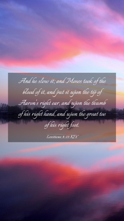 Picture 03 - Leviticus 8:23 KJV Mobile Phone Wallpaper - And he slew it; and Moses took of the blood of - Mobile Bible Verse Wallpaper