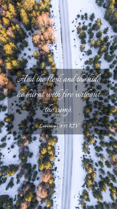 Picture 03 - Leviticus 9:11 KJV Mobile Phone Wallpaper - And the flesh and the hide he burnt with fire - Mobile Bible Verse Wallpaper
