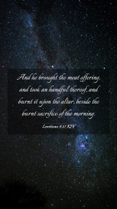 Picture 03 - Leviticus 9:17 KJV Mobile Phone Wallpaper - And he brought the meat offering, and took an - Mobile Bible Verse Wallpaper