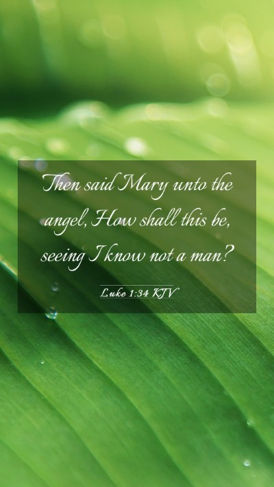 Picture 03 - Luke 1:34 KJV Mobile Phone Wallpaper - Then said Mary unto the angel, How shall this be, - Mobile Bible Verse Wallpaper