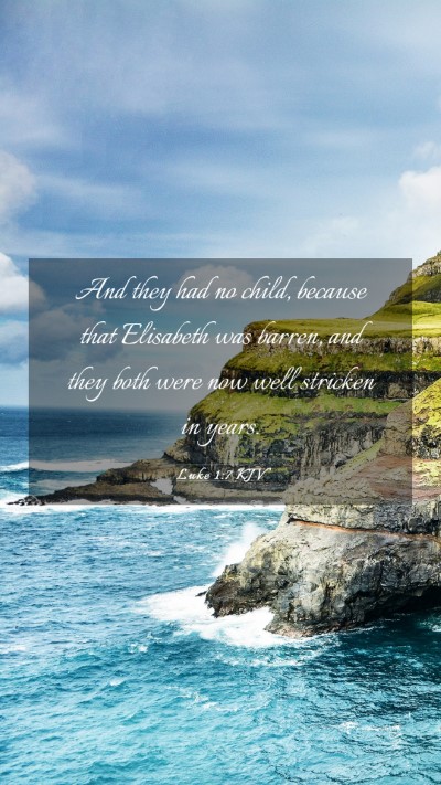 Picture 03 - Luke 1:7 KJV Mobile Phone Wallpaper - And they had no child, because that Elisabeth was - Mobile Bible Verse Wallpaper