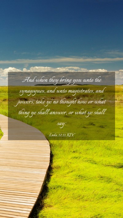 Picture 03 - Luke 12:11 KJV Mobile Phone Wallpaper - And when they bring you unto the synagogues, and - Mobile Bible Verse Wallpaper