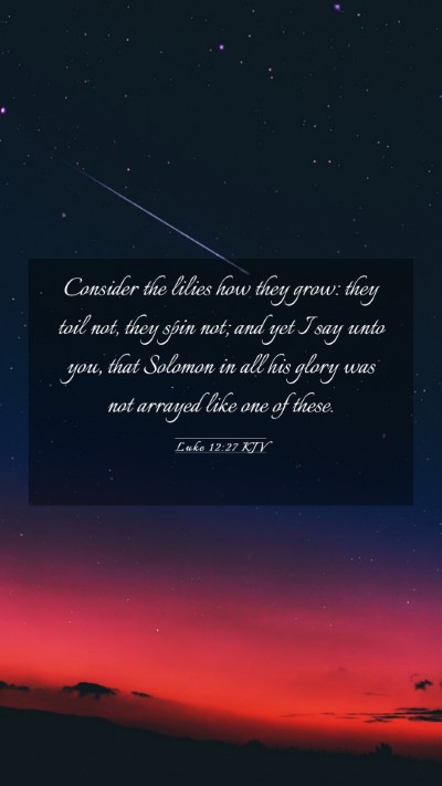Picture 03 - Luke 12:27 KJV Mobile Phone Wallpaper - Consider the lilies how they grow: they toil not, - Mobile Bible Verse Wallpaper