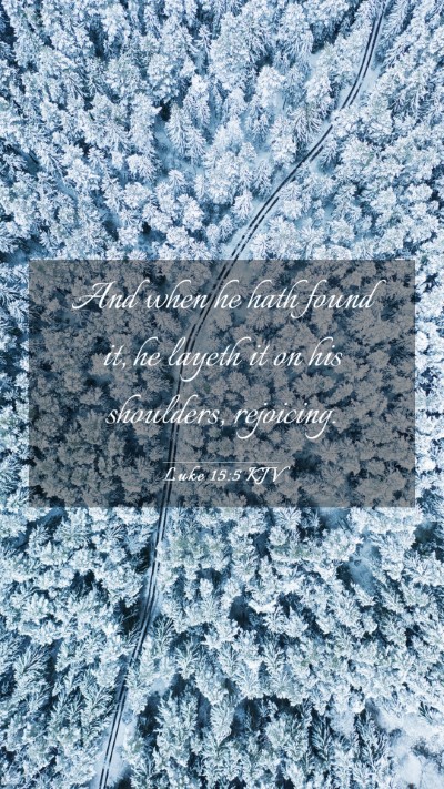 Picture 03 - Luke 15:5 KJV Mobile Phone Wallpaper - And when he hath found it, he layeth it on his - Mobile Bible Verse Wallpaper