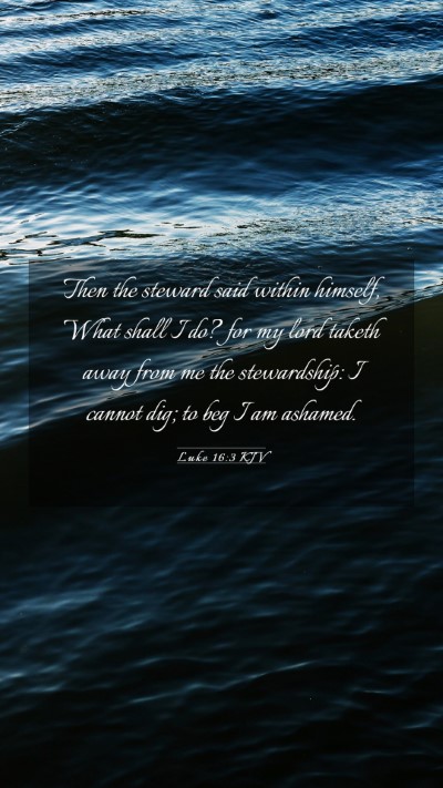 Picture 03 - Luke 16:3 KJV Mobile Phone Wallpaper - Then the steward said within himself, What shall - Mobile Bible Verse Wallpaper