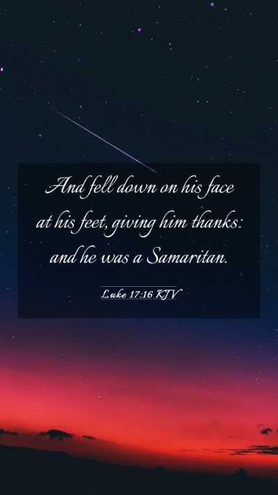 Picture 03 - Luke 17:16 KJV Mobile Phone Wallpaper - And fell down on his face at his feet, giving him - Mobile Bible Verse Wallpaper