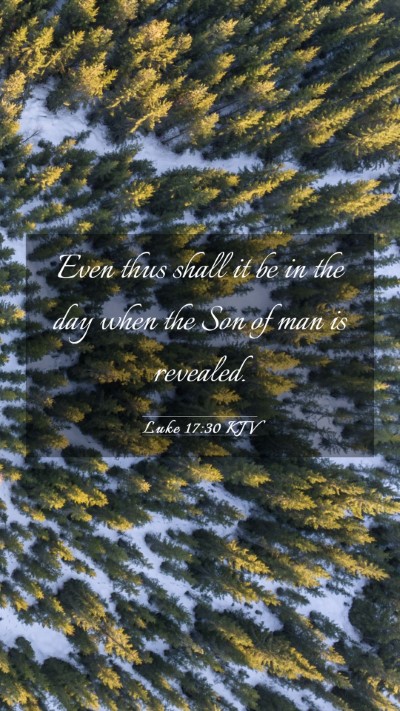 Picture 03 - Luke 17:30 KJV Mobile Phone Wallpaper - Even thus shall it be in the day when the Son of - Mobile Bible Verse Wallpaper