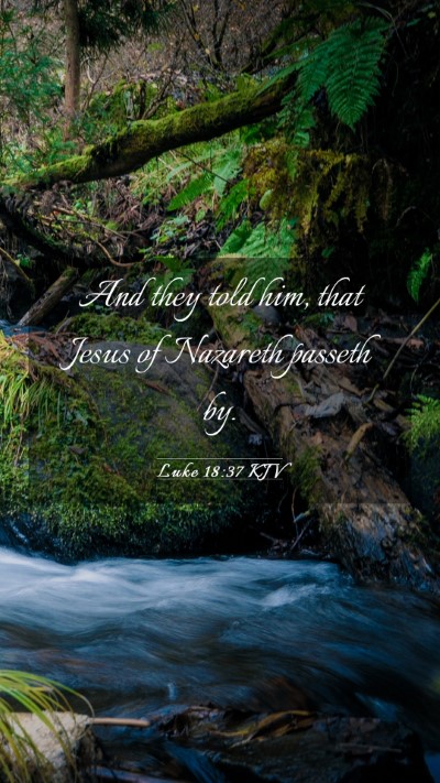 Picture 03 - Luke 18:37 KJV Mobile Phone Wallpaper - And they told him, that Jesus of Nazareth passeth - Mobile Bible Verse Wallpaper