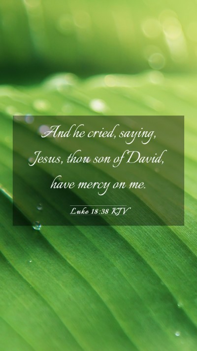 Picture 03 - Luke 18:38 KJV Mobile Phone Wallpaper - And he cried, saying, Jesus, thou son of David, - Mobile Bible Verse Wallpaper