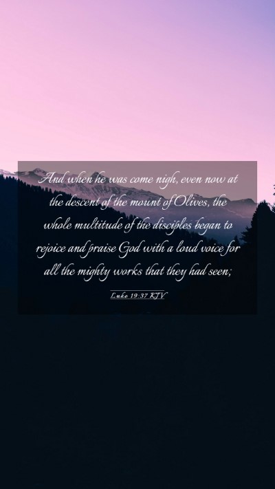 Picture 03 - Luke 19:37 KJV Mobile Phone Wallpaper - And when he was come nigh, even now at the - Mobile Bible Verse Wallpaper