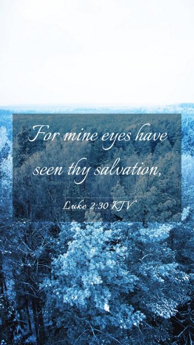 Picture 03 - Luke 2:30 KJV Mobile Phone Wallpaper - For mine eyes have seen thy - Mobile Bible Verse Wallpaper