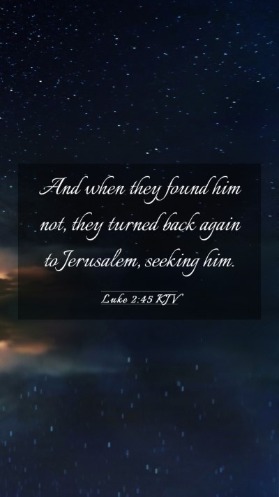 Picture 03 - Luke 2:45 KJV Mobile Phone Wallpaper - And when they found him not, they turned back - Mobile Bible Verse Wallpaper