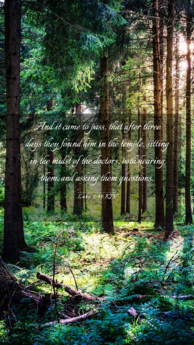 Picture 03 - Luke 2:46 KJV Mobile Phone Wallpaper - And it came to pass, that after three days they - Mobile Bible Verse Wallpaper