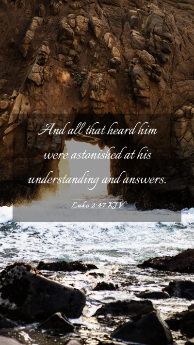 Picture 03 - Luke 2:47 KJV Mobile Phone Wallpaper - And all that heard him were astonished at his - Mobile Bible Verse Wallpaper