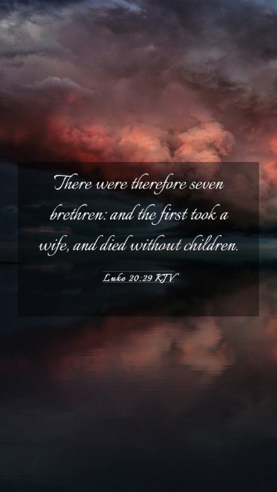 Picture 03 - Luke 20:29 KJV Mobile Phone Wallpaper - There were therefore seven brethren: and the - Mobile Bible Verse Wallpaper