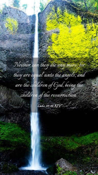 Picture 03 - Luke 20:36 KJV Mobile Phone Wallpaper - Neither can they die any more: for they are equal - Mobile Bible Verse Wallpaper