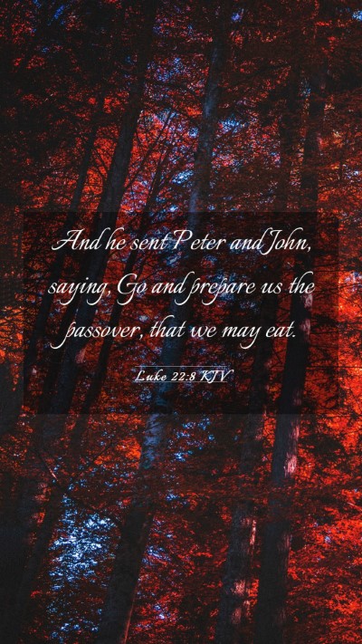 Picture 03 - Luke 22:8 KJV Mobile Phone Wallpaper - And he sent Peter and John, saying, Go and - Mobile Bible Verse Wallpaper