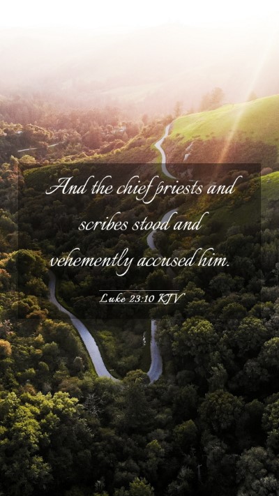 Picture 03 - Luke 23:10 KJV Mobile Phone Wallpaper - And the chief priests and scribes stood and - Mobile Bible Verse Wallpaper