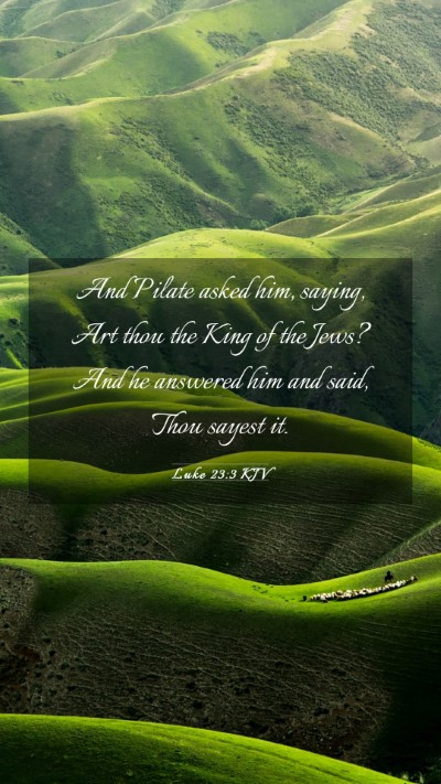 Picture 03 - Luke 23:3 KJV Mobile Phone Wallpaper - And Pilate asked him, saying, Art thou the King - Mobile Bible Verse Wallpaper