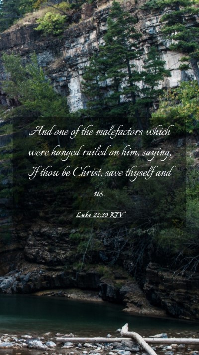 Picture 03 - Luke 23:39 KJV Mobile Phone Wallpaper - And one of the malefactors which were hanged - Mobile Bible Verse Wallpaper
