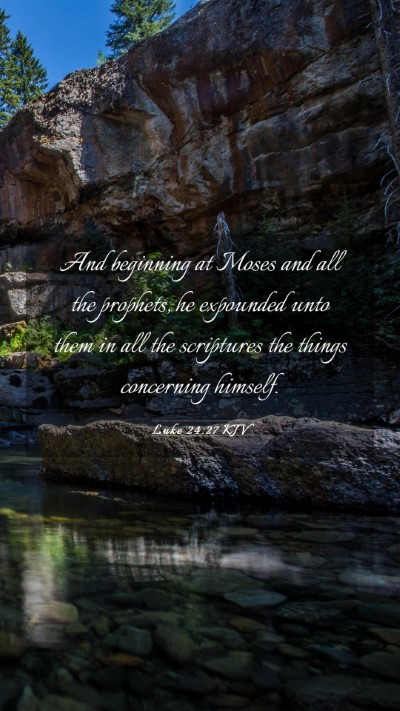 Picture 03 - Luke 24:27 KJV Mobile Phone Wallpaper - And beginning at Moses and all the prophets, he - Mobile Bible Verse Wallpaper