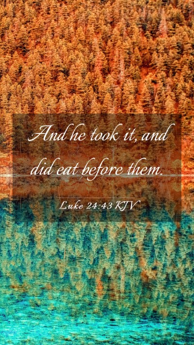 Picture 03 - Luke 24:43 KJV Mobile Phone Wallpaper - And he took it, and did eat before - Mobile Bible Verse Wallpaper