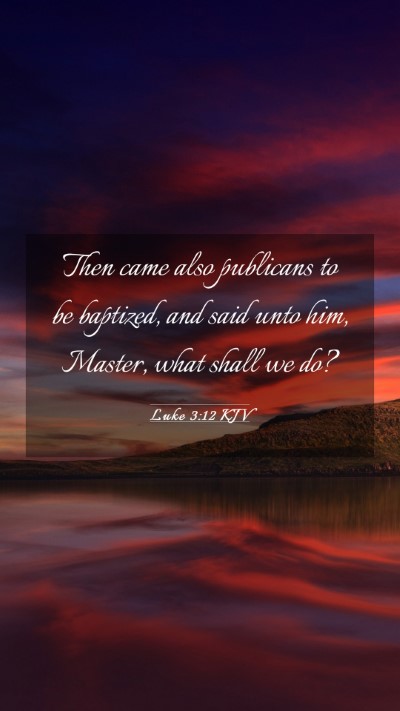Picture 03 - Luke 3:12 KJV Mobile Phone Wallpaper - Then came also publicans to be baptized, and said - Mobile Bible Verse Wallpaper