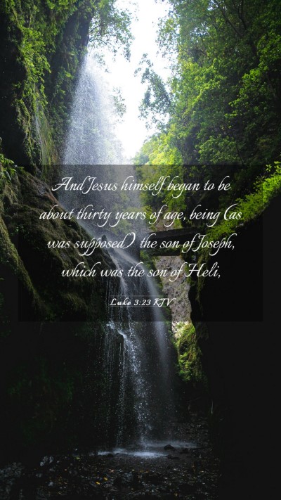 Picture 03 - Luke 3:23 KJV Mobile Phone Wallpaper - And Jesus himself began to be about thirty years - Mobile Bible Verse Wallpaper