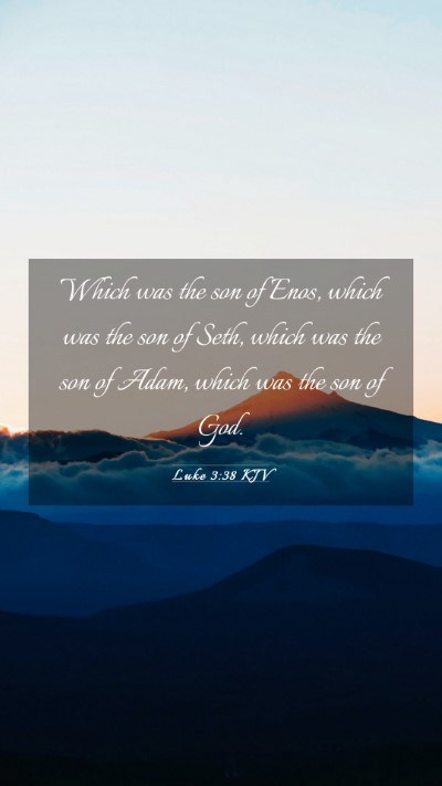 Picture 03 - Luke 3:38 KJV Mobile Phone Wallpaper - Which was the son of Enos, which was the son of - Mobile Bible Verse Wallpaper