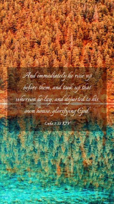 Picture 03 - Luke 5:25 KJV Mobile Phone Wallpaper - And immediately he rose up before them, and took - Mobile Bible Verse Wallpaper