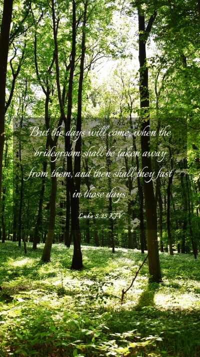 Picture 03 - Luke 5:35 KJV Mobile Phone Wallpaper - But the days will come, when the bridegroom shall - Mobile Bible Verse Wallpaper