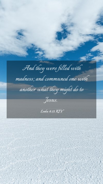 Picture 03 - Luke 6:11 KJV Mobile Phone Wallpaper - And they were filled with madness; and communed - Mobile Bible Verse Wallpaper