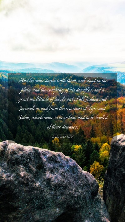 Picture 03 - Luke 6:17 KJV Mobile Phone Wallpaper - And he came down with them, and stood in the - Mobile Bible Verse Wallpaper