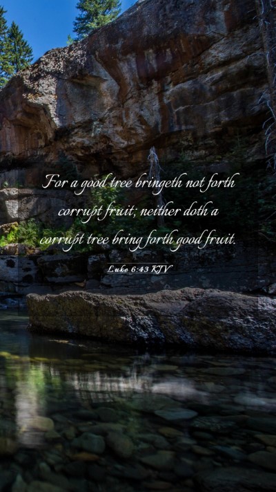 Picture 03 - Luke 6:43 KJV Mobile Phone Wallpaper - For a good tree bringeth not forth corrupt fruit; - Mobile Bible Verse Wallpaper