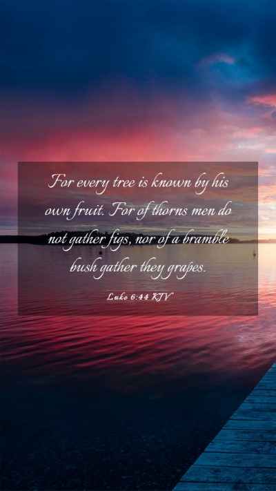 Picture 03 - Luke 6:44 KJV Mobile Phone Wallpaper - For every tree is known by his own fruit. For of - Mobile Bible Verse Wallpaper