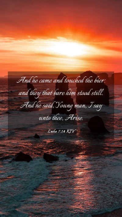 Picture 03 - Luke 7:14 KJV Mobile Phone Wallpaper - And he came and touched the bier: and they that - Mobile Bible Verse Wallpaper