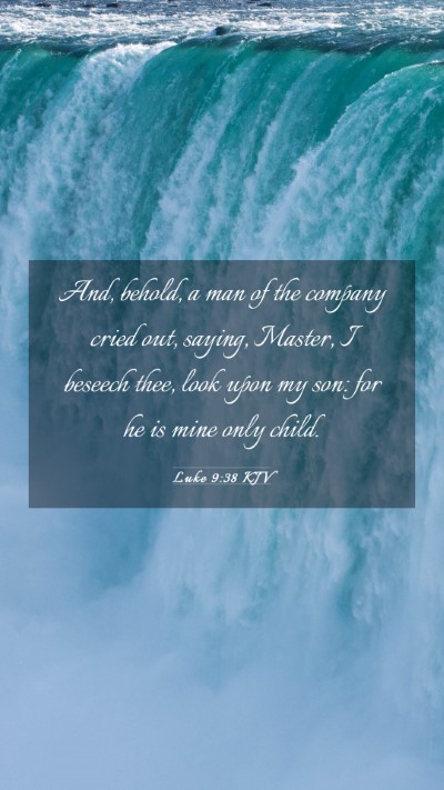 Picture 03 - Luke 9:38 KJV Mobile Phone Wallpaper - And, behold, a man of the company cried out, - Mobile Bible Verse Wallpaper