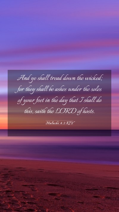 Picture 03 - Malachi 4:3 KJV Mobile Phone Wallpaper - And ye shall tread down the wicked; for they - Mobile Bible Verse Wallpaper
