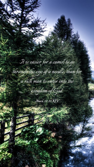 Picture 03 - Mark 10:25 KJV Mobile Phone Wallpaper - It is easier for a camel to go through the eye of - Mobile Bible Verse Wallpaper