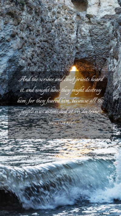 Picture 03 - Mark 11:18 KJV Mobile Phone Wallpaper - And the scribes and chief priests heard it, and - Mobile Bible Verse Wallpaper
