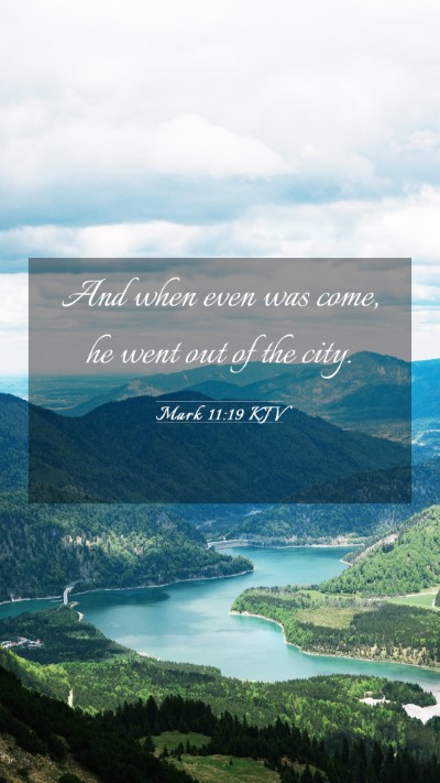 Picture 03 - Mark 11:19 KJV Mobile Phone Wallpaper - And when even was come, he went out of the - Mobile Bible Verse Wallpaper