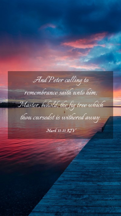 Picture 03 - Mark 11:21 KJV Mobile Phone Wallpaper - And Peter calling to remembrance saith unto him, - Mobile Bible Verse Wallpaper