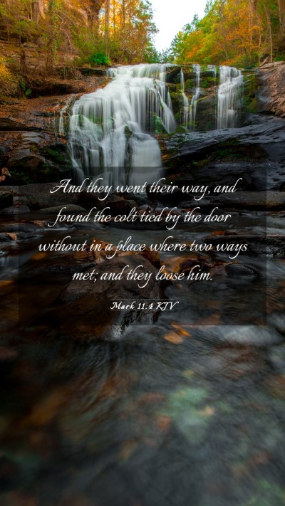 Picture 03 - Mark 11:4 KJV Mobile Phone Wallpaper - And they went their way, and found the colt tied - Mobile Bible Verse Wallpaper