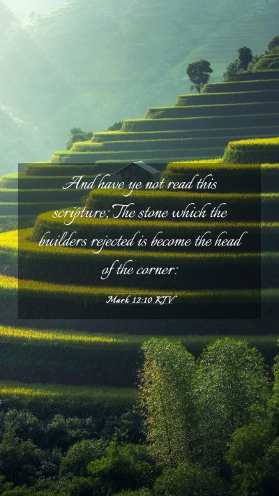 Picture 03 - Mark 12:10 KJV Mobile Phone Wallpaper - And have ye not read this scripture; The stone - Mobile Bible Verse Wallpaper