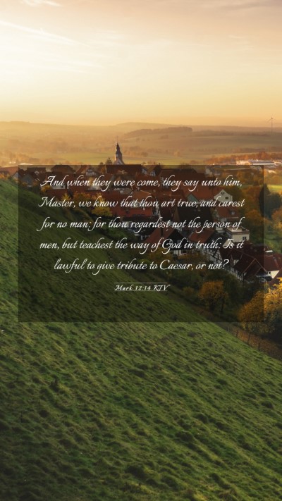 Picture 03 - Mark 12:14 KJV Mobile Phone Wallpaper - And when they were come, they say unto him, - Mobile Bible Verse Wallpaper