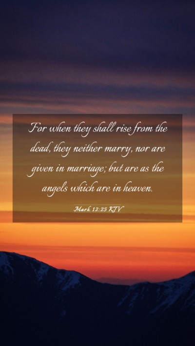 Picture 03 - Mark 12:25 KJV Mobile Phone Wallpaper - For when they shall rise from the dead, they - Mobile Bible Verse Wallpaper