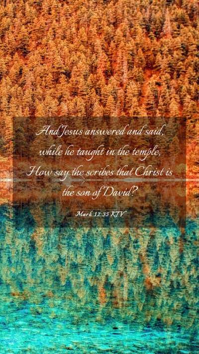 Picture 03 - Mark 12:35 KJV Mobile Phone Wallpaper - And Jesus answered and said, while he taught in - Mobile Bible Verse Wallpaper