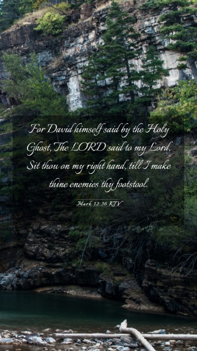 Picture 03 - Mark 12:36 KJV Mobile Phone Wallpaper - For David himself said by the Holy Ghost, The - Mobile Bible Verse Wallpaper