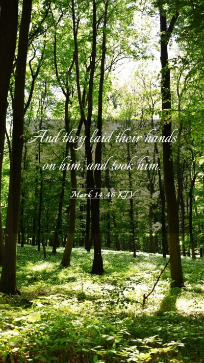 Picture 03 - Mark 14:46 KJV Mobile Phone Wallpaper - And they laid their hands on him, and took - Mobile Bible Verse Wallpaper